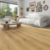 Panele winylowe Premium Floor Omnia Dąb Aristo 99024 6mm