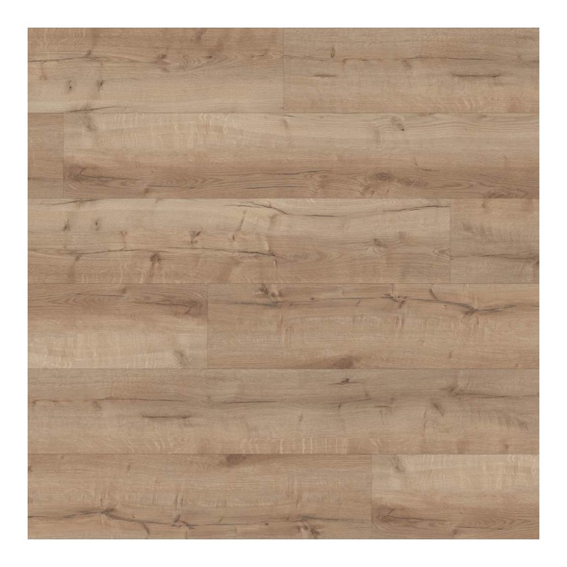 Panele winylowe Premium Floor Omnia Dąb Elegance 99109 6mm