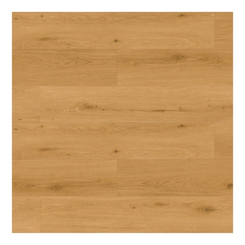 Panele winylowe Premium Floor Omnia Dąb Vision 99910 6mm