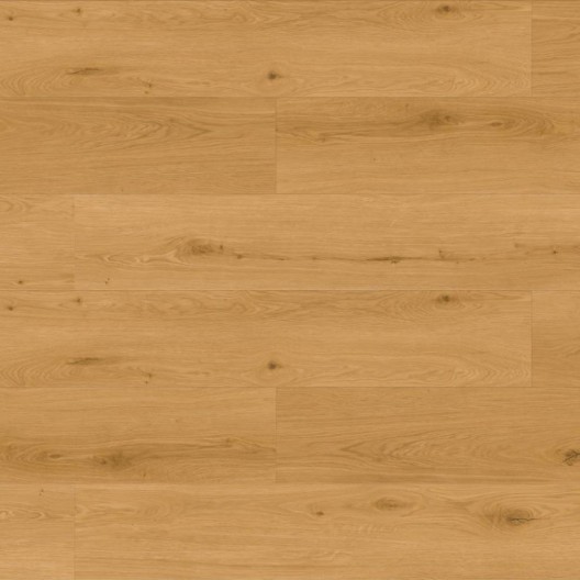Panele winylowe Premium Floor Omnia Dąb Vision 99910 6mm