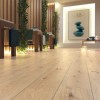 Panele podłogowe Swiss Krono Kronopol Dąb Stylowy 89LG-3481 AC4 8mm