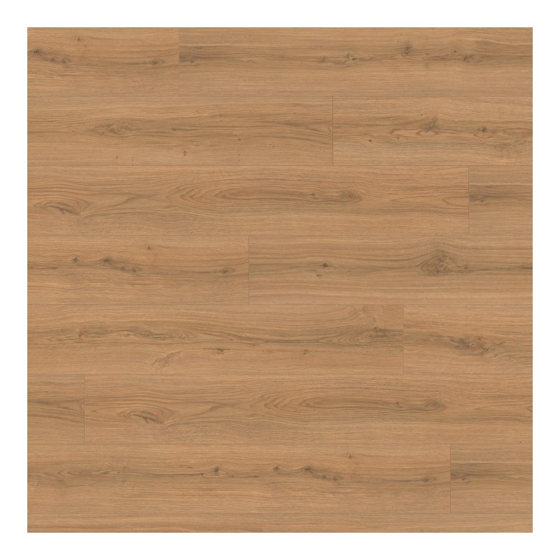 Panele podłogowe Egger NatureSense Aqua 24h AC5 Classic Dąb Padua miodowy EL2172 8mm