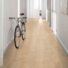 Panele podłogowe Egger NatureSense Aqua 24h AC4 Classic Dąb Newbury jasny EL2035 8mm