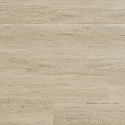 Podłoga winylowa Arbiton Woodric Dryback Dąb Salerno DW209 2.5mm