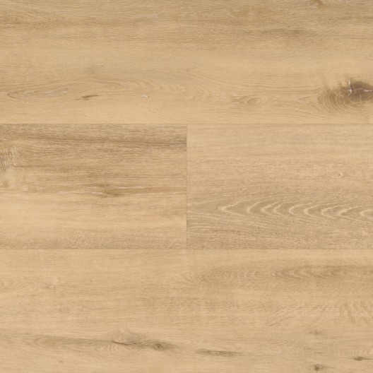 Panele winylowe BerryAlloc Spirit Soul Glue Down 55 Plank Dąb Allegra 60002395 2.5mm