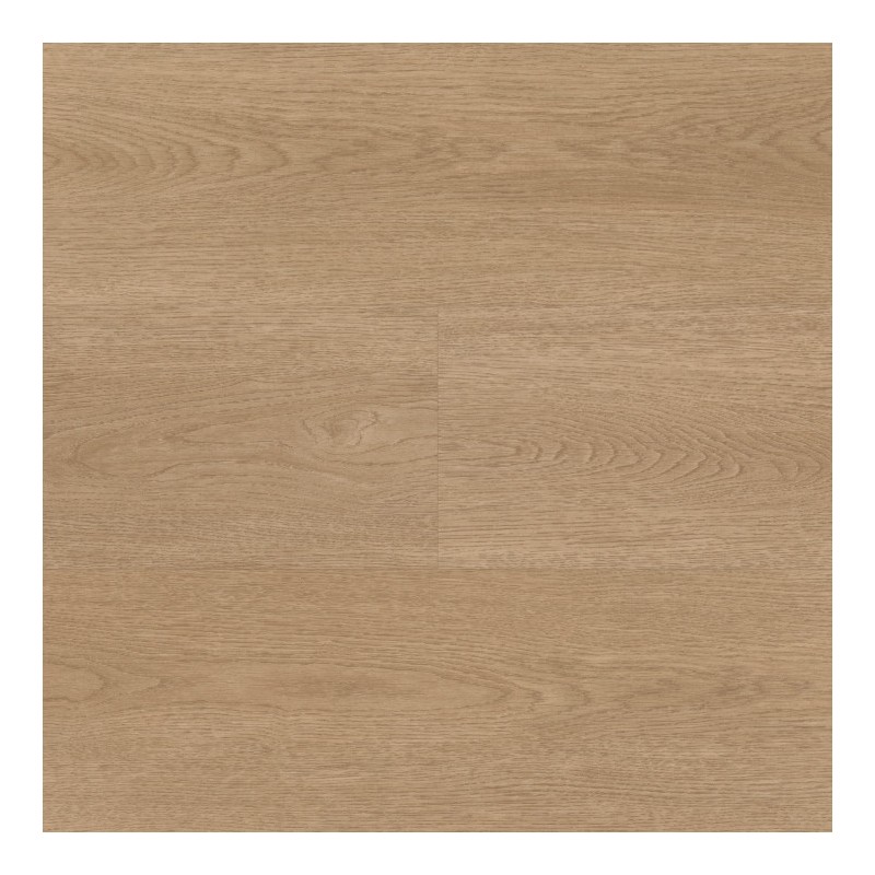 Panele winylowe BerryAlloc Spirit Soul Glue Down 55 Plank Dąb Aria 60002388 2.5mm