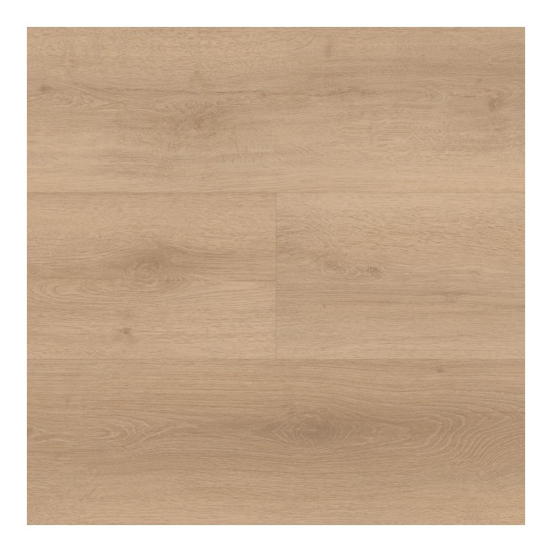 Panele winylowe BerryAlloc Spirit Soul Glue Down 55 Plank Dąb Stella 60002392 2.5mm