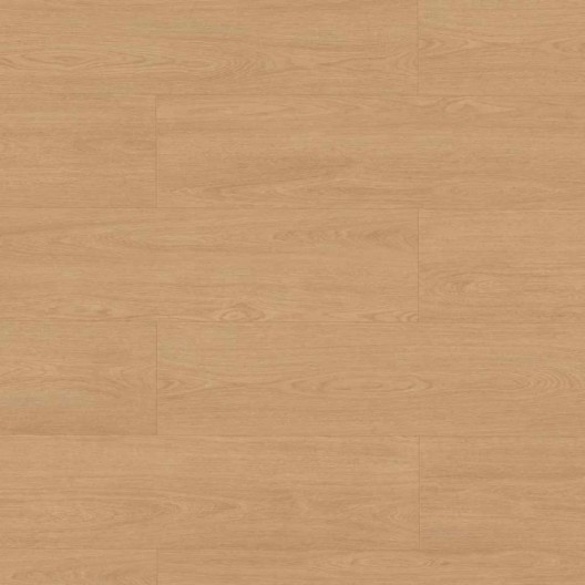 Panele podłogowe Classen Feel Good Dąb Salva Szczotkowany 68198 AC5 8mm