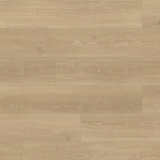 Panele podłogowe Parador Basic 600 XL Dąb Studioline Naturalny 1748189 AC4 8mm