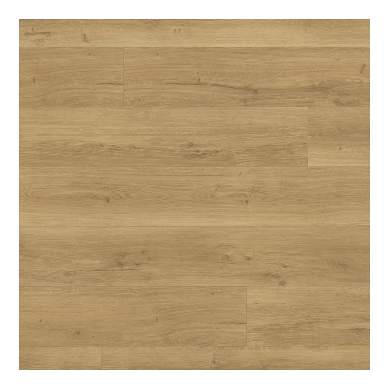 Panele podłogowe Parador Modular One XL Dąb Spirit naturalny 1730808 8mm