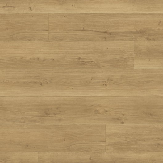 Panele podłogowe Parador Modular One XL Dąb Spirit naturalny 1730808 8mm