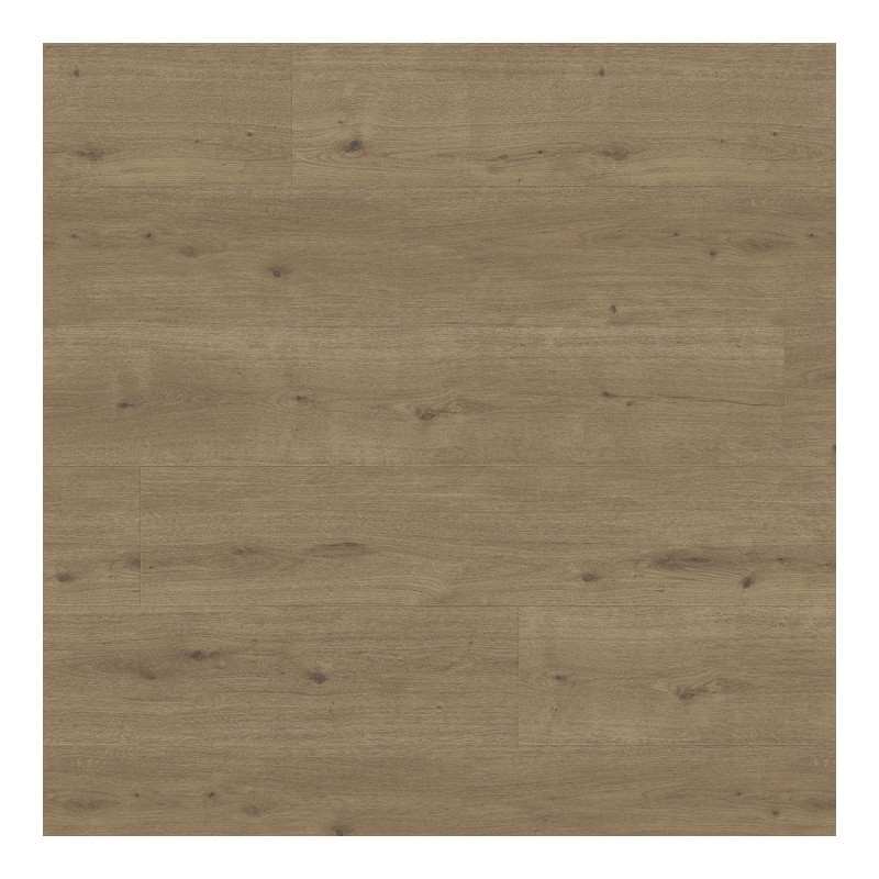 Panele podłogowe Parador Modular One XL Dąb Atmosphere umber 1744557 8mm