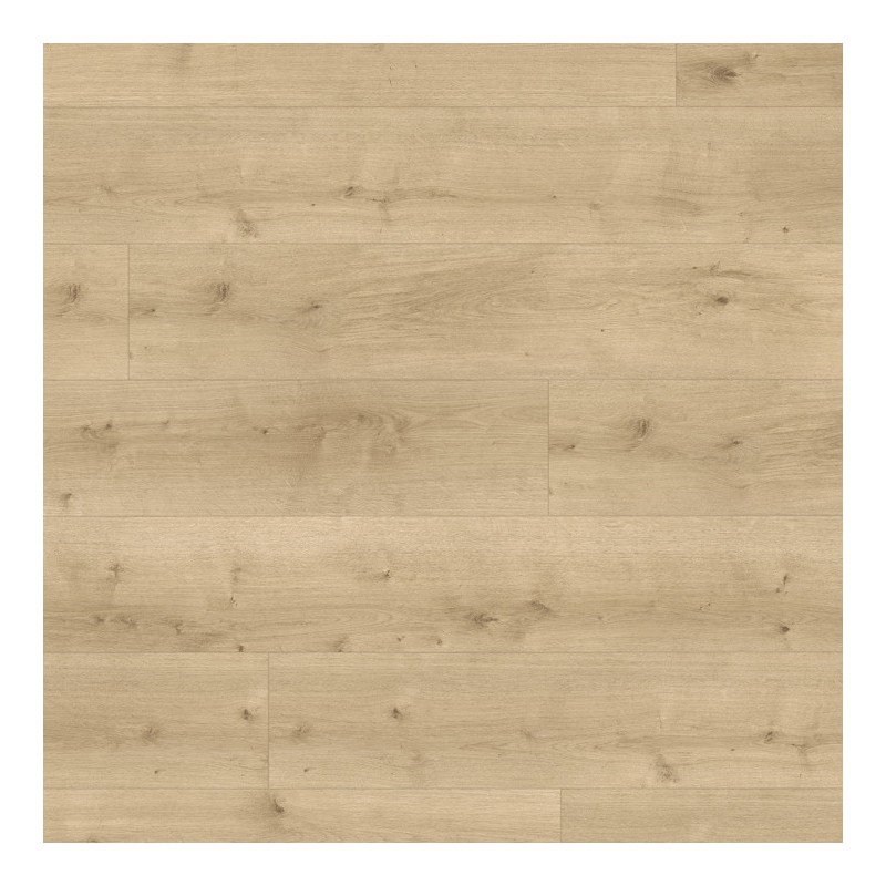 Panele podłogowe Parador Modular One XL Dąb Pure jasny 1730803 8mm