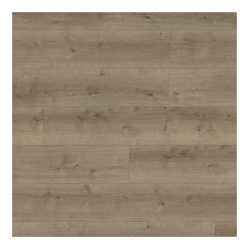 Panele podłogowe Parador Modular One XL Dąb Pure perłowo-szary 1730804 8mm