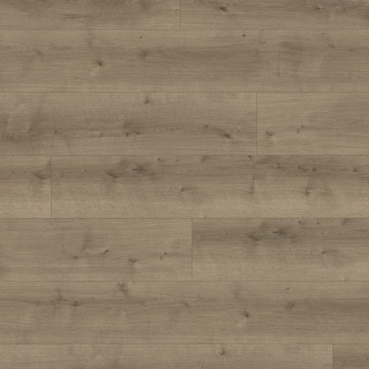 Panele podłogowe Parador Modular One XL Dąb Pure perłowo-szary 1730804 8mm