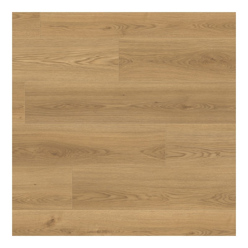Panele Podłogowe Premium Floor Dąb Miodowy 88493 Ultra Plus AC5/8mm