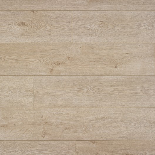 Panele Podłogowe Premium Floor Dąb Spokojny 88237 Hydro24 8mm